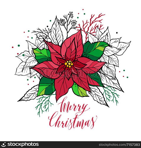 Christmas card of poinsettia with hand drawn lettering. Christmas decoration illustration.