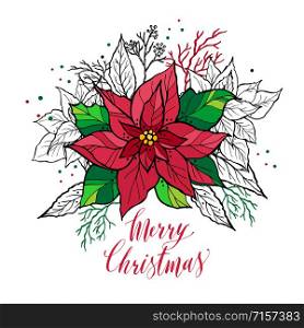 Christmas card of poinsettia with hand drawn lettering. Christmas decoration illustration.
