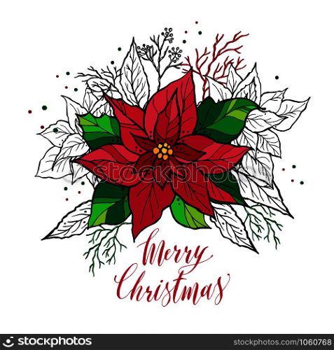 Christmas card of poinsettia with hand drawn lettering. Christmas decoration illustration. Graphic design.. Christmas card of poinsettia with hand drawn lettering. Christmas decoration illustration.