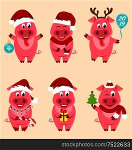 Christmas Cartoon Pigs Portrait in Santa&rsquo;s Hat and with Ball, Balloon, Gift Box - Illustration Vector. Christmas Cartoon Pigs Portrait in Santa&rsquo;s Hat and with Ball, Balloon, Gift Box