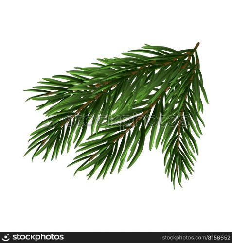 Christmas fir tree branch. Christmas tree branch on a white background. Festive design for the winter holidays, events, discounts, and sales. Vector illustration.