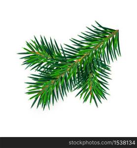 Christmas green lush spruce branch. Fir-tree New Year branch. Vector illustration element of design isolated on white.. Christmas green lush spruce branch. Fir-tree New Year branch. Vector illustration element of design isolated on white