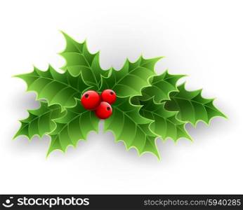 Christmas Holly Berry. . Christmas Holly Berry isolated on white. Vector illustration
