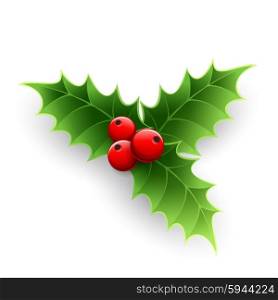 Christmas Holly Berry. . Christmas Holly Berry isolated on white. Vector illustration
