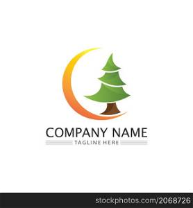 christmas logo and symbol illustration image icon vector design and symbol