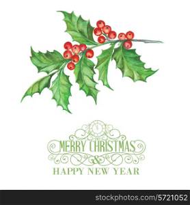 Christmas mistletoe branch isolated over white background. Vector illustration.
