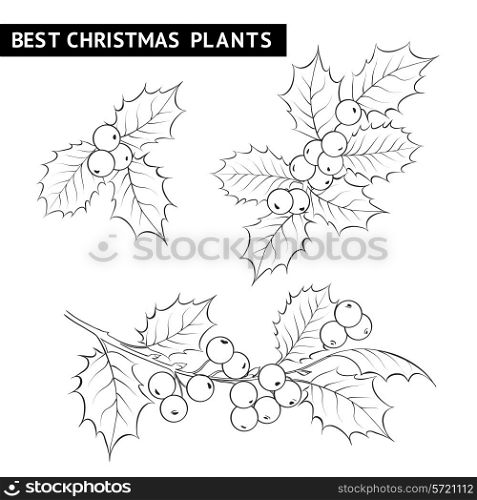 Christmas mistletoe branch pencil drawing. Vector illustration.