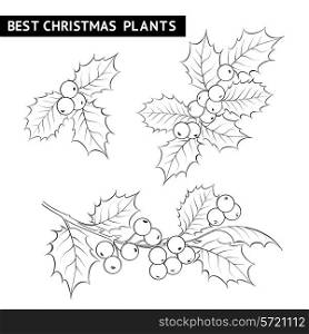 Christmas mistletoe branch pencil drawing. Vector illustration.