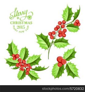 Christmas mistletoe branch set. Vector illustration.