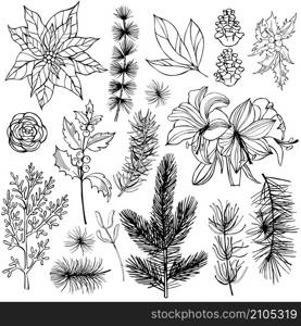 Christmas plants set. Vector hand-drawn illustration.. Christmas plants set.