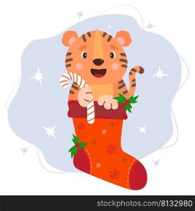 Christmas red sock with smiling cute tiger with striped caramel candy and New Years mistletoe. Winter vector illustration