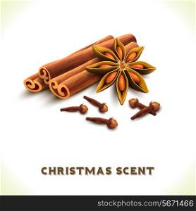 Christmas scent cinnamon anise cloves spices set isolated on white background vector illustration