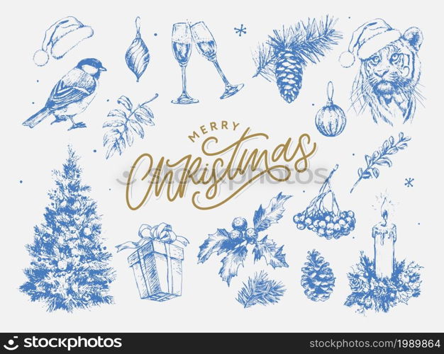 Christmas Set 2022 New Year and Christmas symbols, Christmas tree, tiger, Santa, cone, cinnamon, glasses, Candle, toys gifts sketch illustrations. Christmas Set 2022 New Year and Christmas symbols, Christmas tree, tiger, Santa, cone, cinnamon, glasses, Candle, toys, gifts, sketch illustrations.Vector.