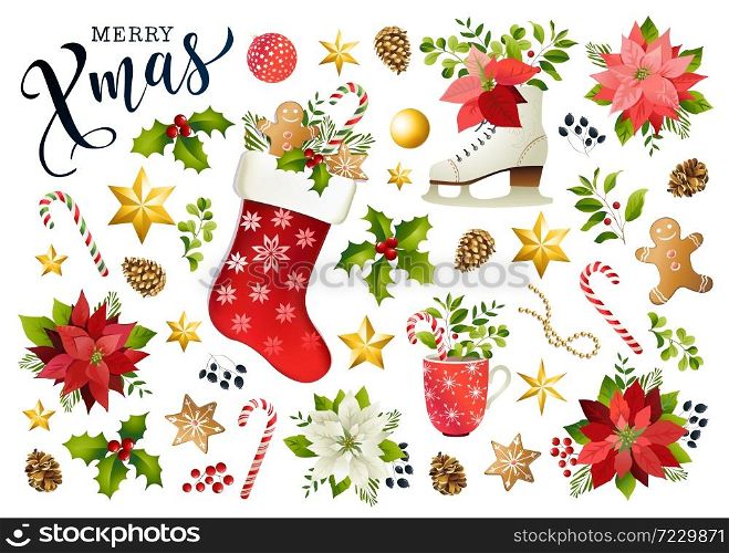 Christmas set design composition of poinsettia, fir branches, cones, holly and plants. Cover, invitation, banner, greeting card. Vector illustration. Christmas set design composition of poinsettia, fir branches, cones, holly and other plants. Cover, invitation, banner, greeting card. Vector illustration.
