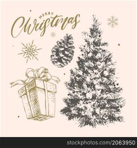 Christmas sketch vector plants, holly berry, christmas tree, pine, leaves branches, holiday decoration, winter symbols Vintage nature. Christmas sketch vector holly berry, christmas tree, pine, leaves branches, holiday decoration, winter symbols Vintage nature illustration