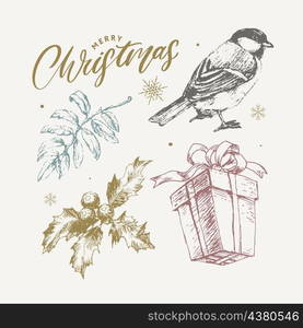 Christmas sketch vector plants, holly berry, christmas tree, pine, leaves branches, holiday decoration, winter symbols Vintage nature. Christmas sketch vector holly berry, christmas tree, pine, leaves branches, holiday decoration, winter symbols Vintage nature illustration