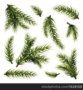 Christmas tree branches. Green plant branch, isolated on white background fir or pine. New year xmas twigs, evergreen swanky vector objects. Illustration of christmas fir green, tree branch collection. Christmas tree branches. Green plant branch, isolated on white background fir or pine. New year xmas twigs, evergreen swanky vector objects