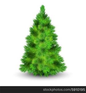 Christmas Tree Illustration . Christmas tree with green branches for decorating the house realistic vector illustration