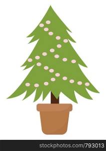 Christmas tree, illustration, vector on white background.