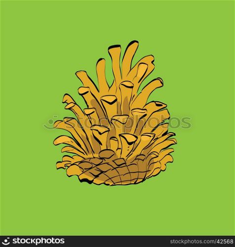 Christmas-tree pine cone, color vector illustration. Christmas holiday and New year