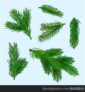 Christmas tree realistic. Xmas branches green winter plants for gifts toys decent vector realistic illustrations isolated. Realistic fir branch. Christmas tree realistic. Xmas branches green winter plants for gifts toys decent vector realistic illustrations isolated