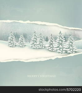 Christmas winter landscape background. Vector.