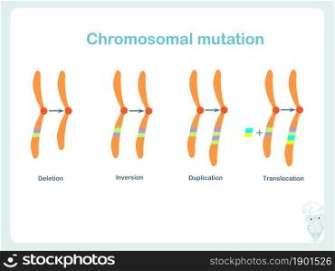 Chromosomes mutation banner. Design element stock vector illustration for education, biological lessons in college