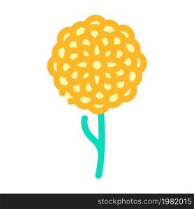 chrysanthemum flower color icon vector. chrysanthemum flower sign. isolated symbol illustration. chrysanthemum flower color icon vector illustration