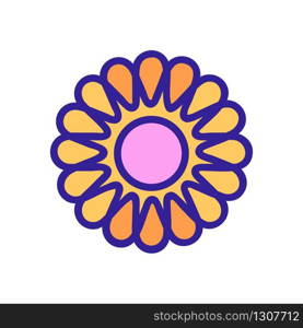 chrysanthemum icon vector. chrysanthemum sign. color isolated symbol illustration. chrysanthemum icon vector outline illustration
