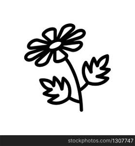chrysanthemum icon vector. chrysanthemum sign. isolated contour symbol illustration. chrysanthemum icon vector outline illustration