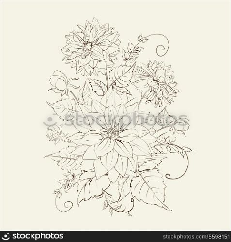 Chrysanthemum isolated over white. Vector illustration.
