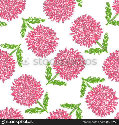 Chrysanthemum seamless pattern. Pink flowers. Hand drawn floral vector illustrations. Pen or marker sketch. Hand drawn natural pencil drawing.. Chrysanthemum seamless pattern. Pink flowers. Hand drawn floral vector illustrations. Pen or marker sketch. Hand drawn natural pencil drawing