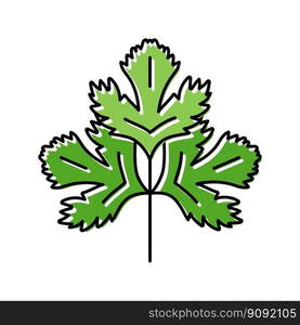 cilantro salad food color icon vector. cilantro salad food sign. isolated symbol illustration. cilantro salad food color icon vector illustration