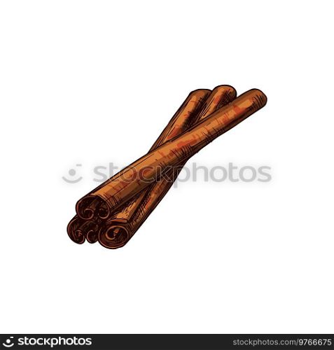 Cinnamon bark strip sticks isolated aromatic spice. Vector sketch of flavoring seasoning, dry plant. Rolled cinnamon sticks isolated culinary condiment