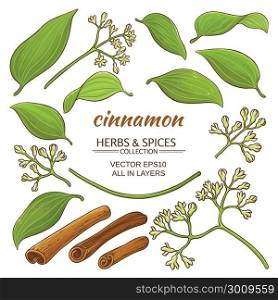 cinnamon elements set. cinnamon elements vector set on white background