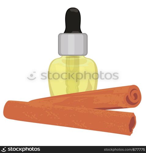 Cinnamon sticks essential oil in a dropper vector illustration on a white background isolated
