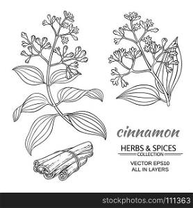 cinnamon vector set. cinnamon vector branches set on white background