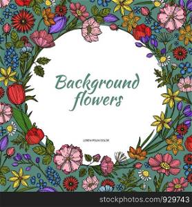 Circle background with flowers. Hand drawn pictures of various plants. Color flower summer, drawing elegant, vector illustration. Circle background with flowers. Hand drawn pictures of various plants