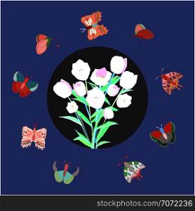 Circle border with tulips and butterflies on blue background. Greeting card, poster design element. Vector Illustration.. Round frame with tulips and border of butterflies.