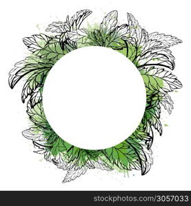 Circle frame with sketch of plants with watercolor splashes. Vector template for labels. Mint, stevia and basil. Outline medicine herbal drawing. Useful traditional medicine. Vector round template. Circle frame with sketch of plants with watercolor splashes. Vector template for labels. Mint, stevia and basil. Outline medicine herbal drawing. Useful traditional medicine.