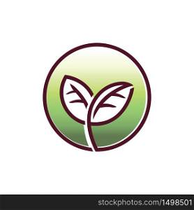 Circle Leaf Sprout Grow Growth Green Environment