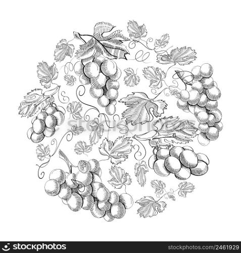 Circle pattern bunches of grape doodle with repeating beautiful berries on white background hand drawing vector illustration. Circle Pattern Bunches Of Grape Doodle