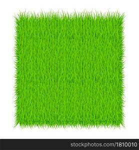 Circle With Grass, Green grass background. Frame. Vector Illustration.. Circle With Grass, Green grass background. Frame. Vector Illustration