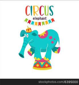 Circus artist. Circus animals. A trained circus elephant. The elephant stands on a pedestal. Vector illustration. Isolated on a white background.