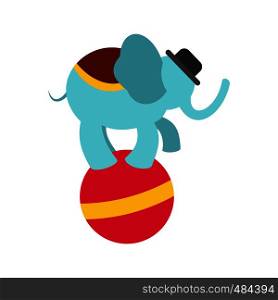 Circus elephant on a red ball isolated on white background. Circus elephant on ball icon