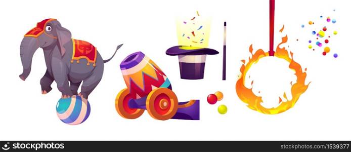 Circus icons with elephant standing on ball, fire ring, cannon, hat and magic wand. Vector cartoon set of circus performance elements isolated on white background. Circus icons with elephant , fire ring and cannon