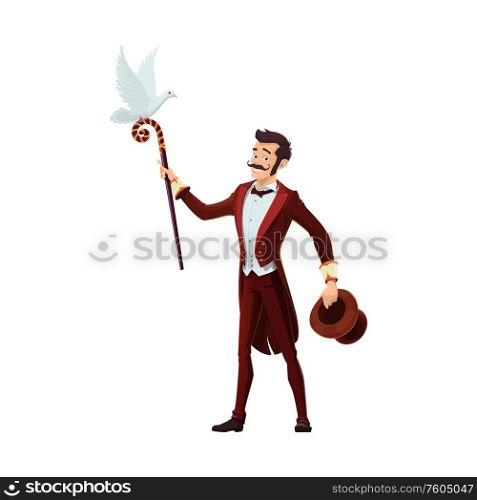 Circus illusionist with hat, dove and cane stick, vintage funfair carnival. Vector big top circus magic amusement show, magician performance. Vintage circus show, magician illusionist
