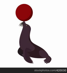 Circus sea lion cartoon on a white background. Circus sea lion cartoon