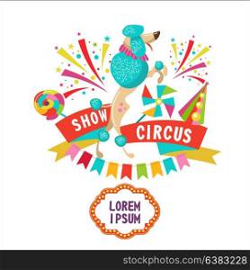 Circus. Vector illustration. A trained poodle. Composition of cliparts. With place for text. Isolated on a white background.