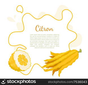 Citron exotic juicy large fragrant citrus fruit vector poster frame and place for text. Tropical edible food, dieting vegetarian plant full of vitamins. Citron Exotic Juicy Large Fragrant Citrus Fruit